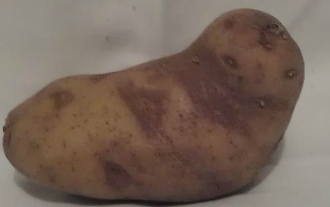 jabba_potato