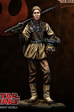knight_models_boushh4