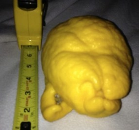 jabba_lemon