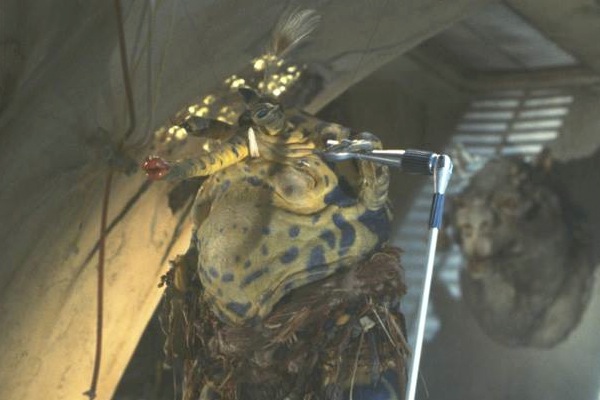 jabba's_tauntaun_screenshot